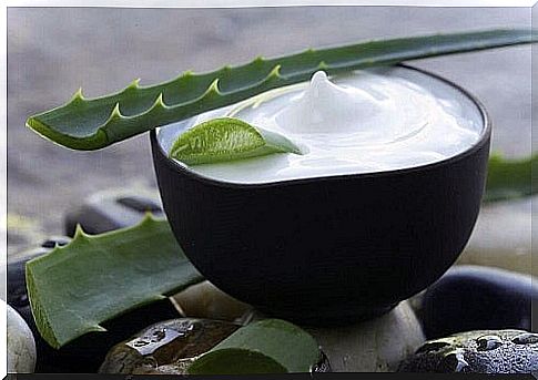 Coconut milk included in aloe vera treatments for healthier hair