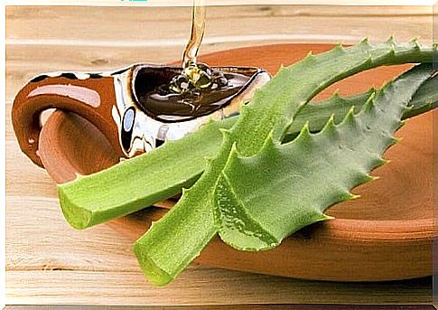 Honey included in aloe vera treatments for healthier hair