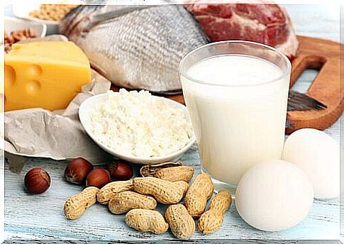 Protein is not on the list of forbidden foods after training