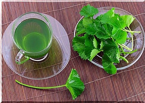 5 health benefits of parsley