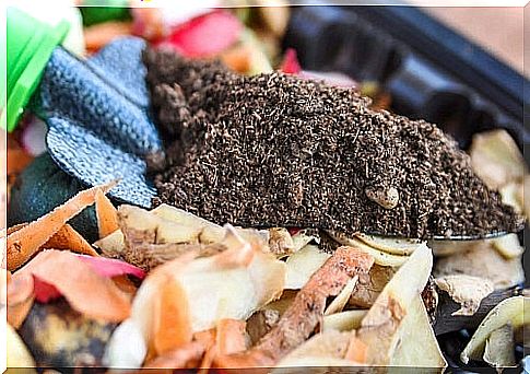 Tips for sustainable gardening with compost