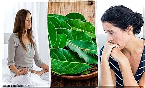 7 benefits of bay leaves that will surprise you