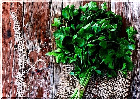 Parsley on the list of natural remedies for treating the jug