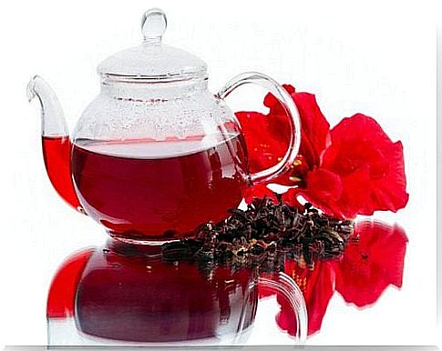 Hibiscus flower infusion for adipose tissue