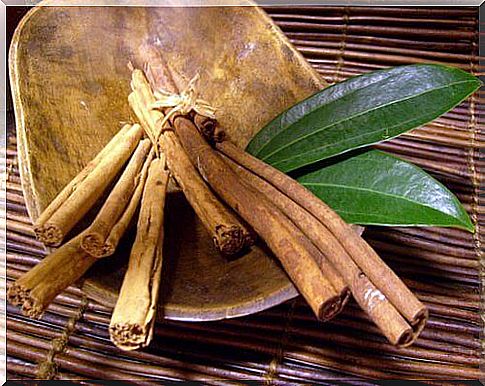 Cinnamon helps you remove adipose tissue