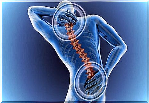 Back pain - the most common causes