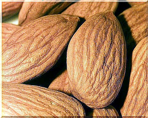 Almonds are calcium-rich non-dairy foods