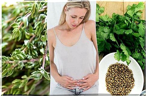 Carminative plants to fight intestinal gas