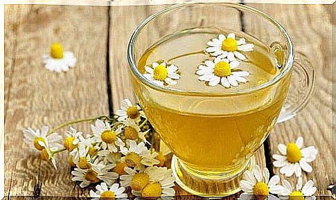 Chamomile on the list of carminative plants to combat intestinal gas