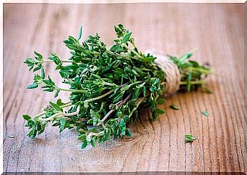 Thyme on the list of carminative plants to combat intestinal gas