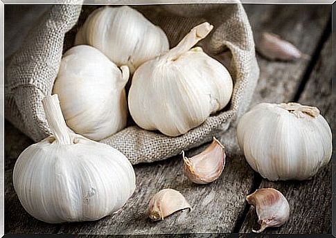 Garlic treats herpes circinate