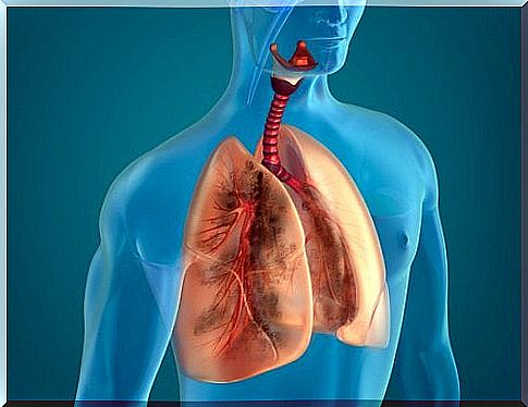 Cleanses the lungs of tobacco with 10 natural ingredients