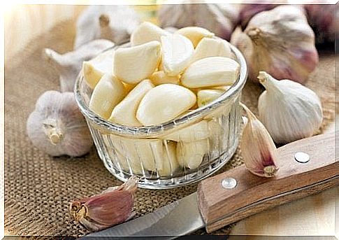 Discover the healing properties of garlic