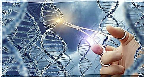 Discover the main types of genetic mutations