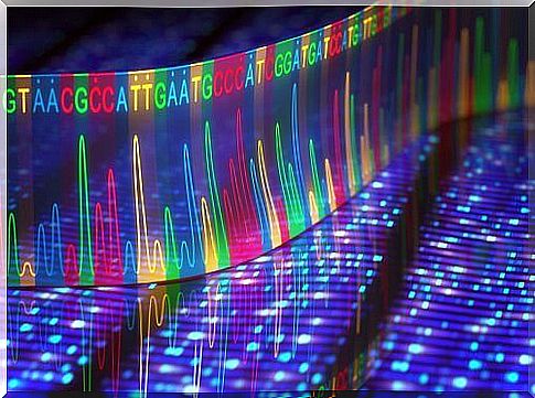 Information encoded in DNA