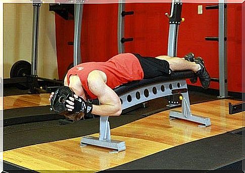 Exercises that strengthen the neck muscles on the bench