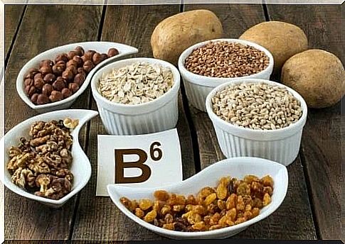 Foods rich in vitamin B