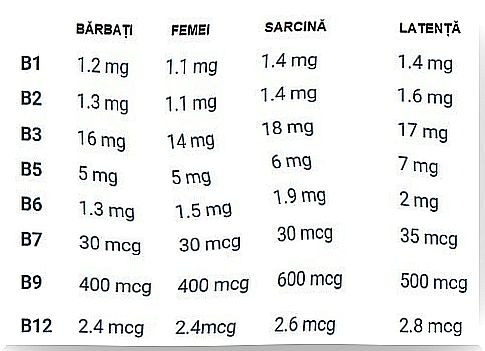 Daily vitamin B requirement