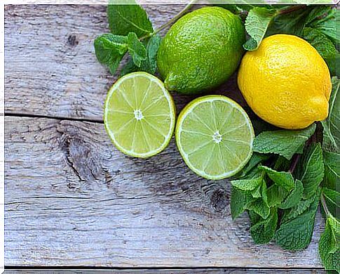 Citrus fruits on the list of fruits that burn fat