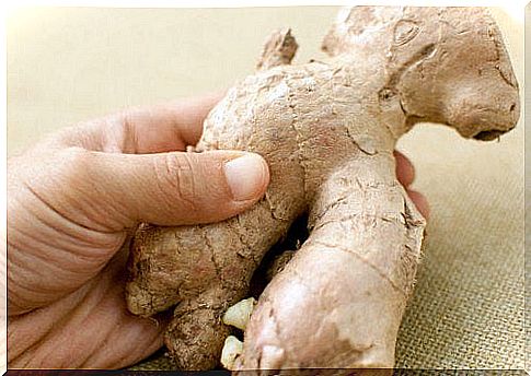 Ginger root