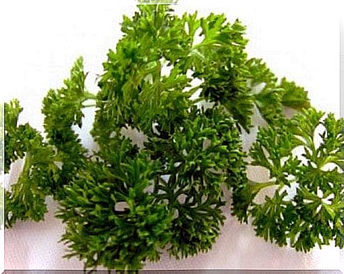 Among other things, parsley helps prevent gout