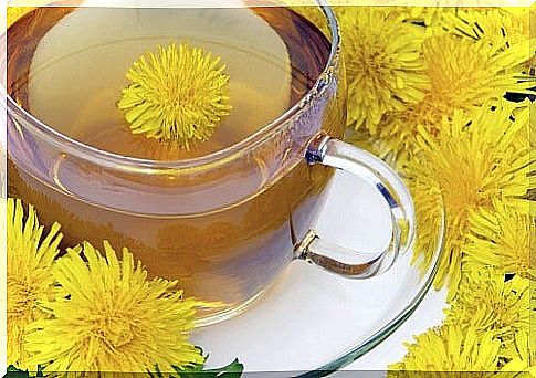 Dandelion for detoxified colon