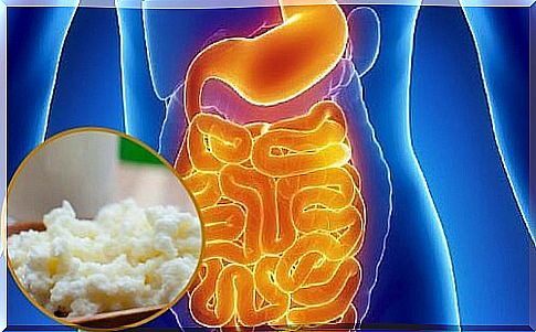 How to restore your intestinal flora naturally