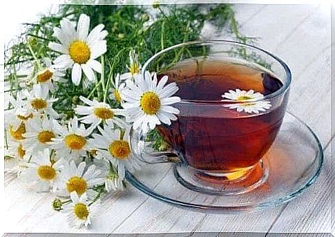 Chamomile fresh flower tea