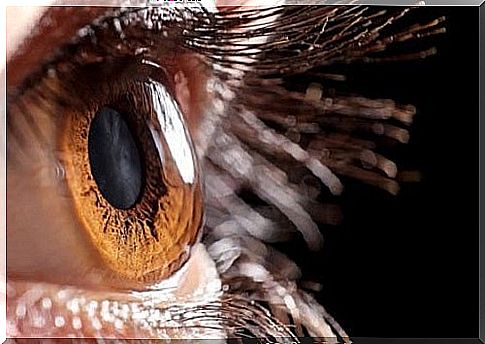 Hydrogel corneas could cause vision in many people