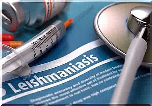 Is Leishmaniasis Contagious?