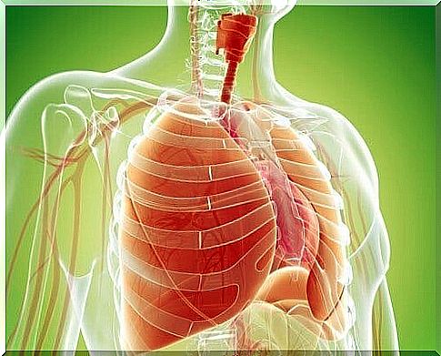 Natural remedies for lung detoxification