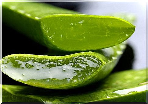 Aloe vera is a good remedy for hemorrhoids