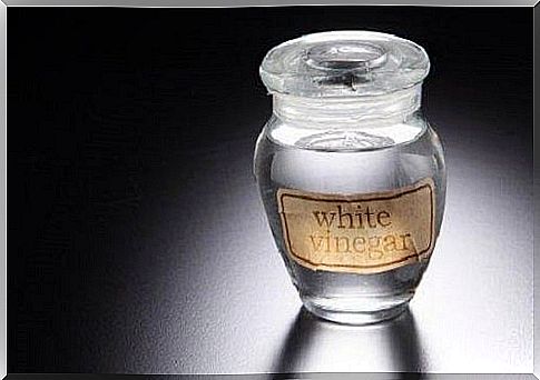 The best remedy for weevils with white vinegar