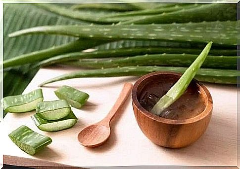 Remedies for wasp stings with aloe vera