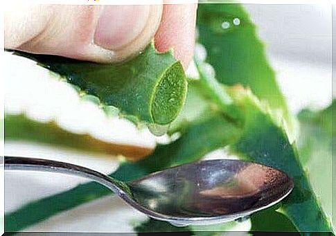 Spoon with aloe vera gel