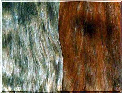 Try to dye your hair with natural extracts!