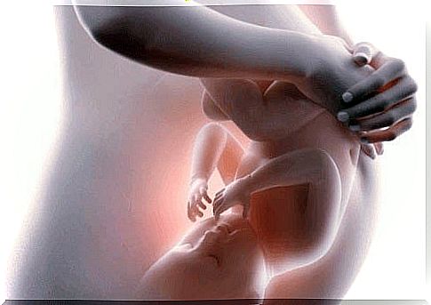 Baby in the womb