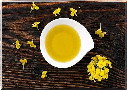 What is canola oil?