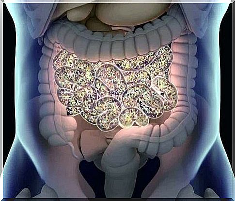 The normal microbiota of the human body