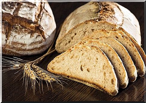 White bread or wholemeal bread cut into slices